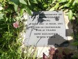 image of grave number 661964